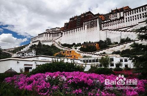 拉萨至重庆旅行，隔离与否的探讨