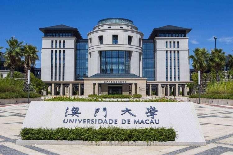 重庆与澳门地区疫情报告深度解析