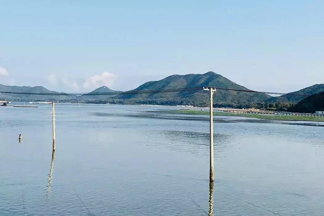 重庆疫情公告与海南最新动态