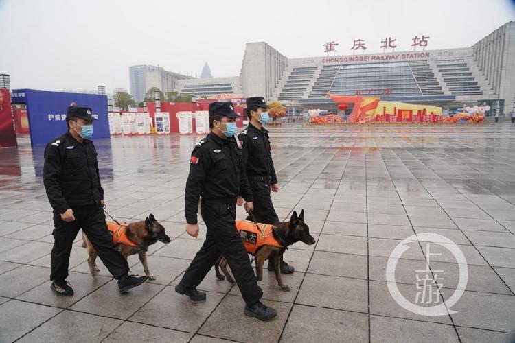 重庆市疫情防控指南概览