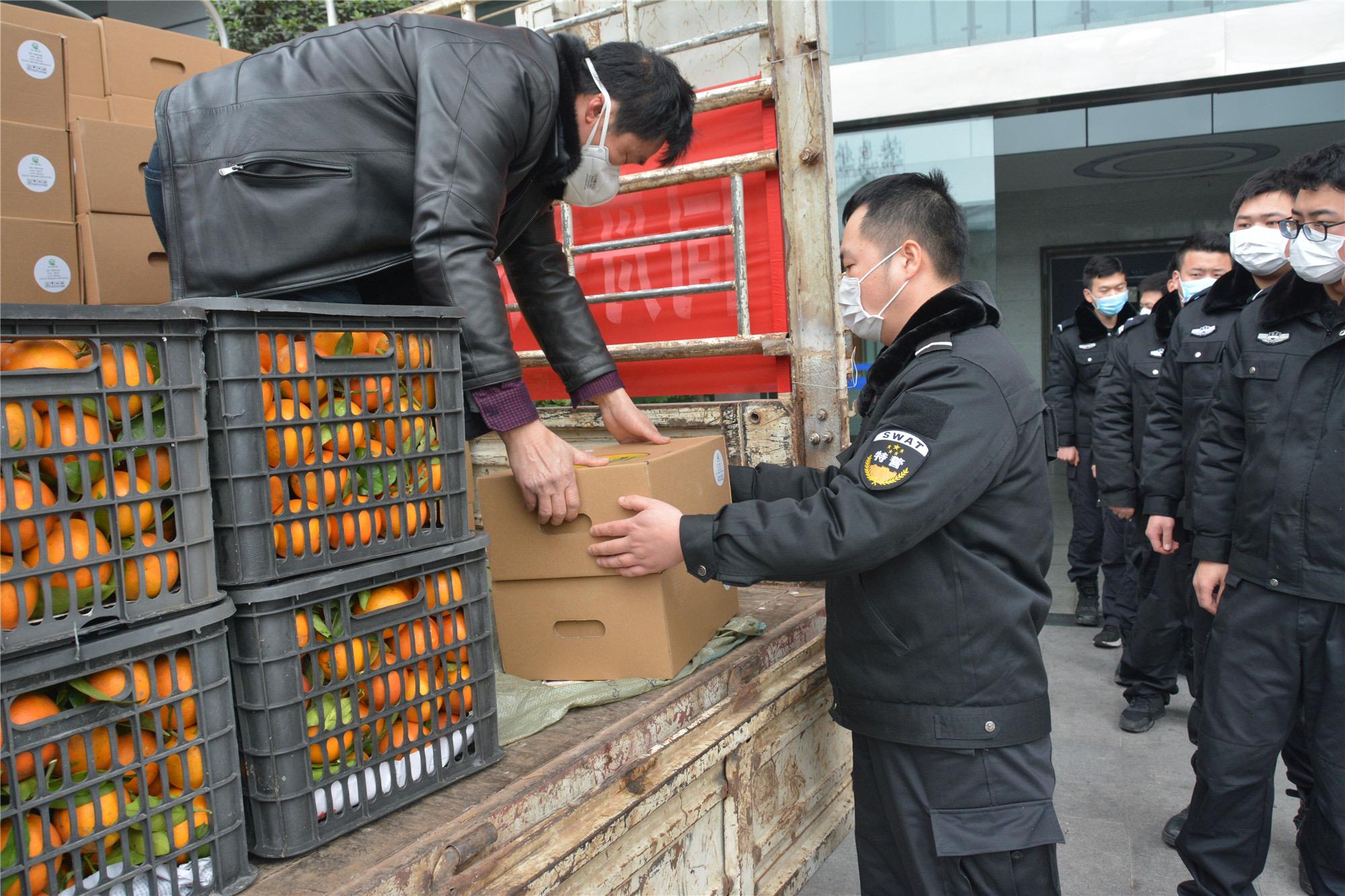 重庆防疫政策解读与指导，全面咨询与解析