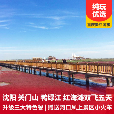 重庆归途，山城至沈阳的跨城之旅