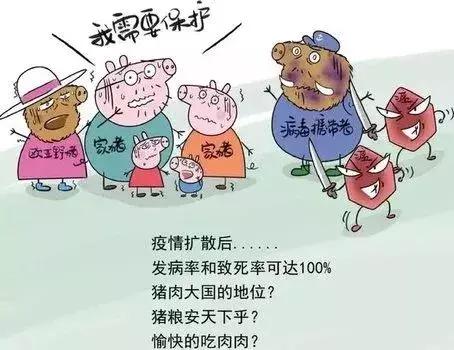 福建省疫情与郑州最新消息综合报告