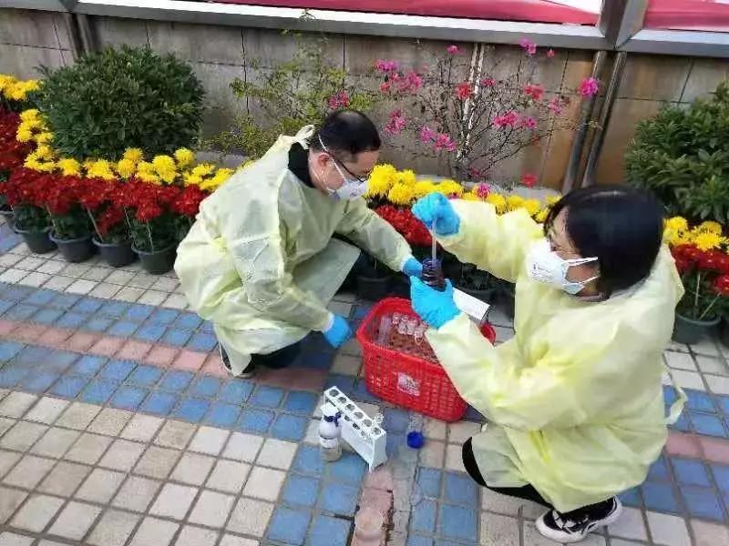 福建省疫情状况分析报告