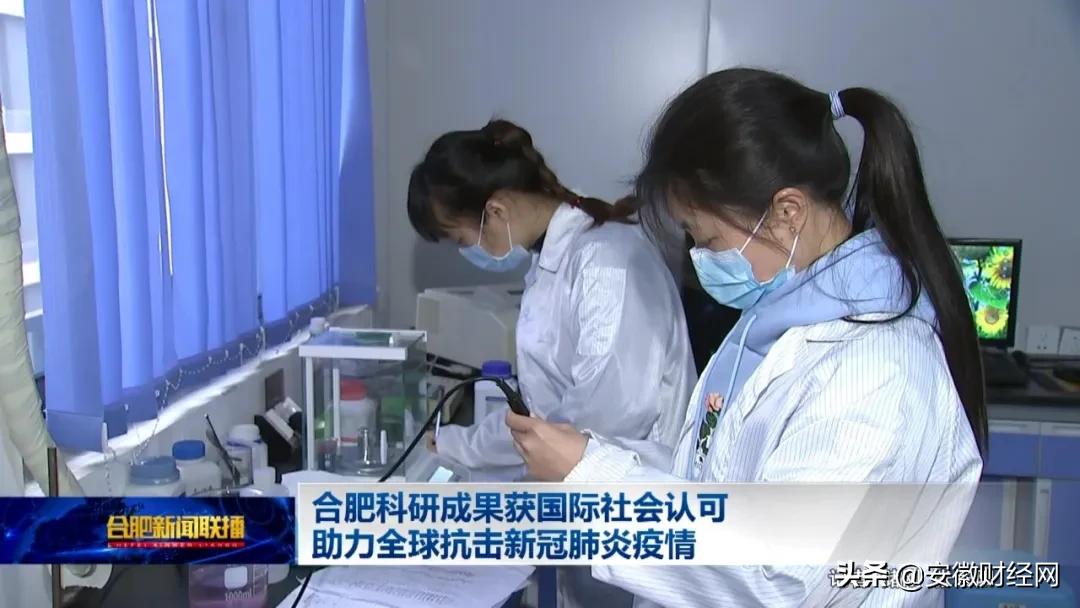 安微合肥市疫情的挑战与应对策略