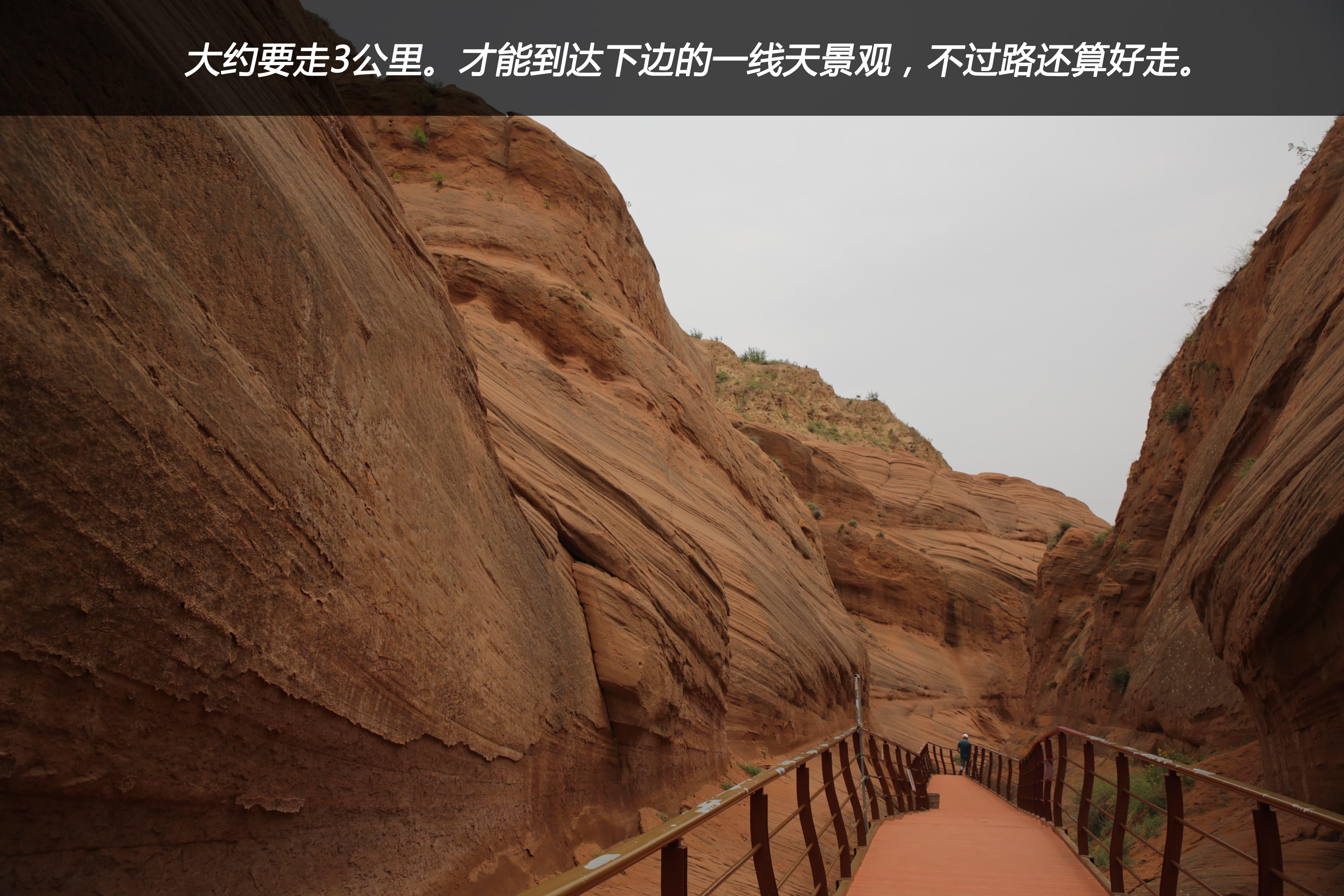 石家庄疫情波及陕西，挑战与应对策略