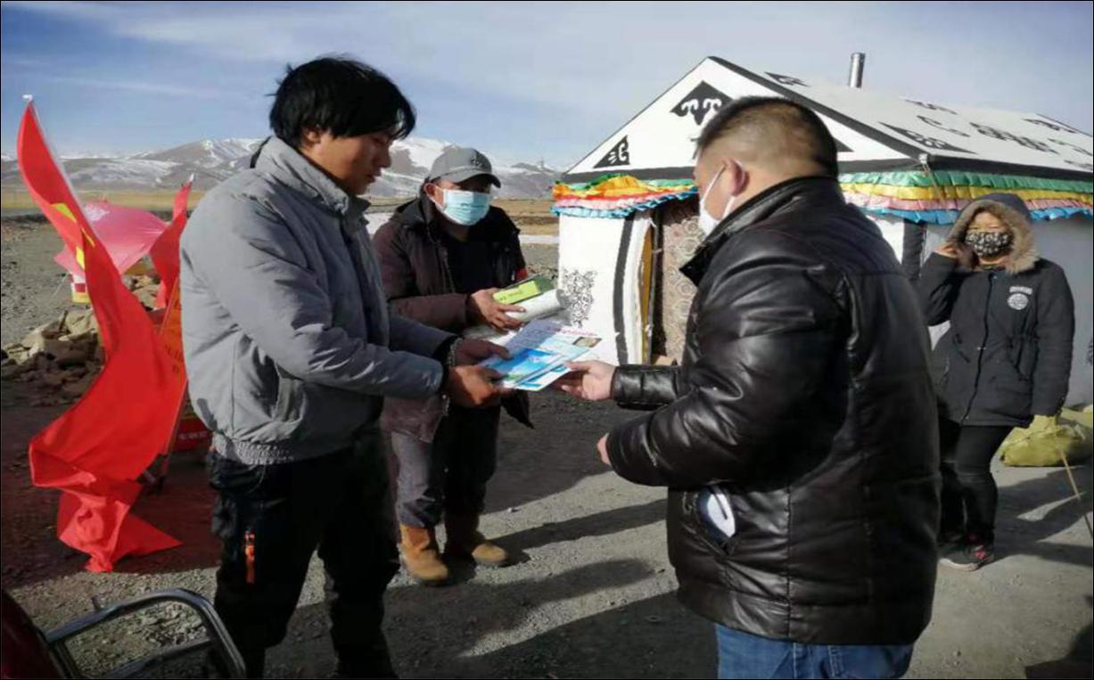 青海与武汉疫情报告全面解析
