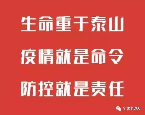 青海与拉萨疫情最新报告，积极应对，彰显坚定信心