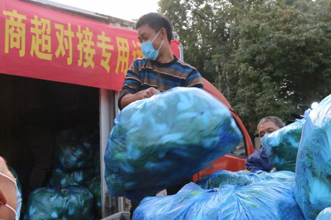 合肥疫情挑战与应对策略