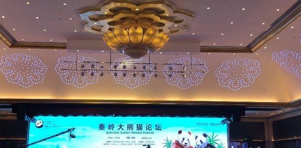 陕西省水利厅沈中原，水利事业的稳健守护者