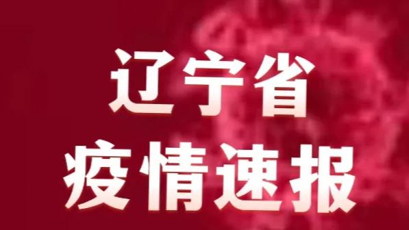 辽宁省疫情最新通报，全面应对，共克时艰