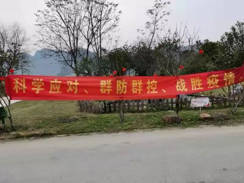 辽宁省疫情动态，坚定信心，携手共克时艰