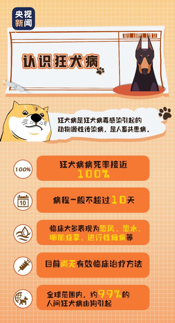 沈阳发现狂犬病例，警惕狂犬病威胁
