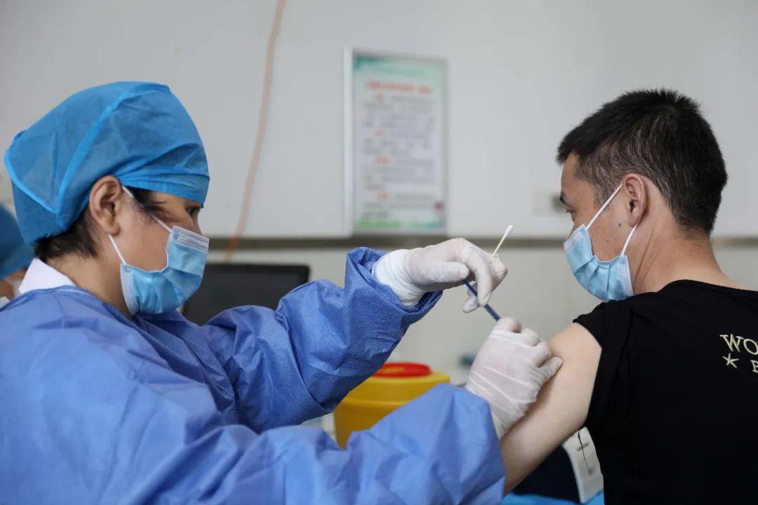 辽宁省疫苗接种查询指南详解