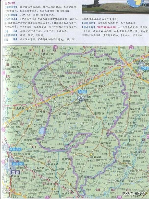 辽宁省台安县疫情现状与应对策略
