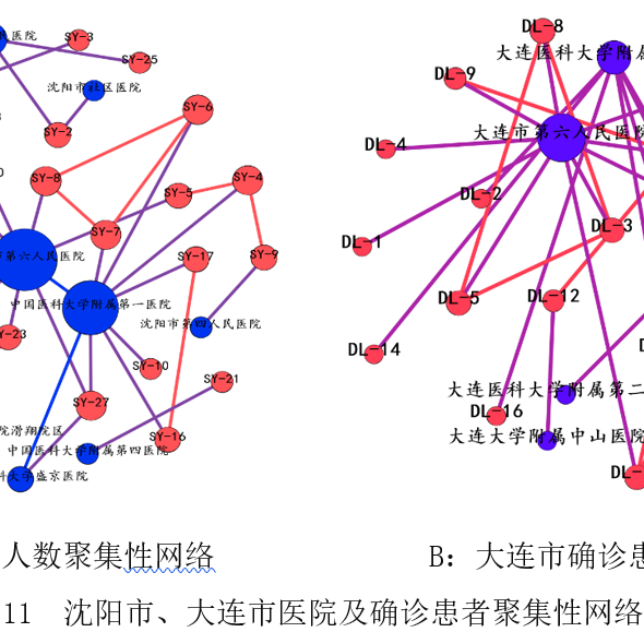 辽宁省疫情防控系统的构建与实践探索