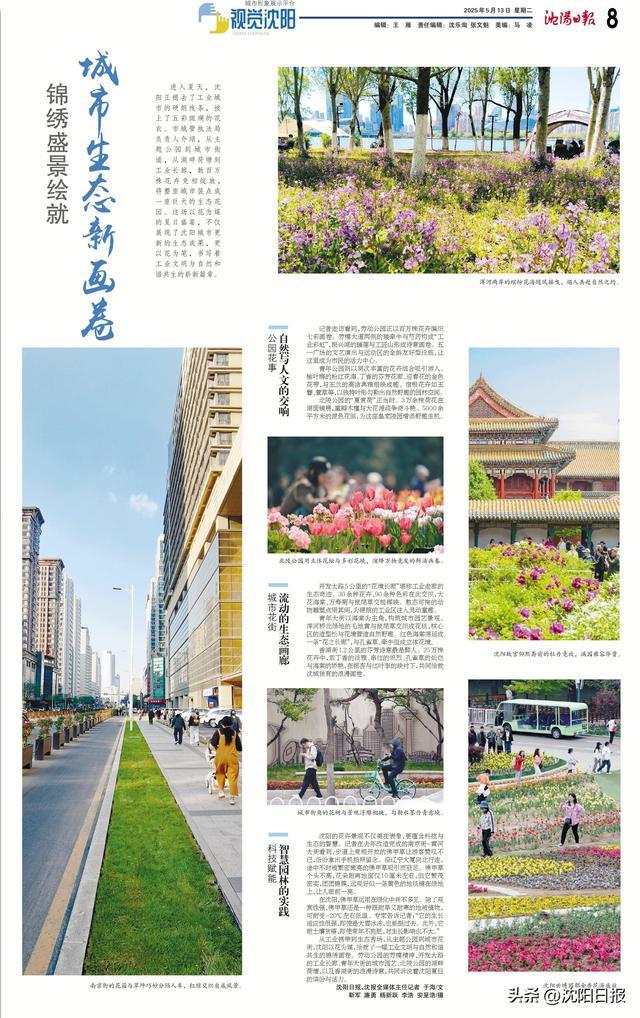 辽宁沈阳城市新貌与发展动态最新报道
