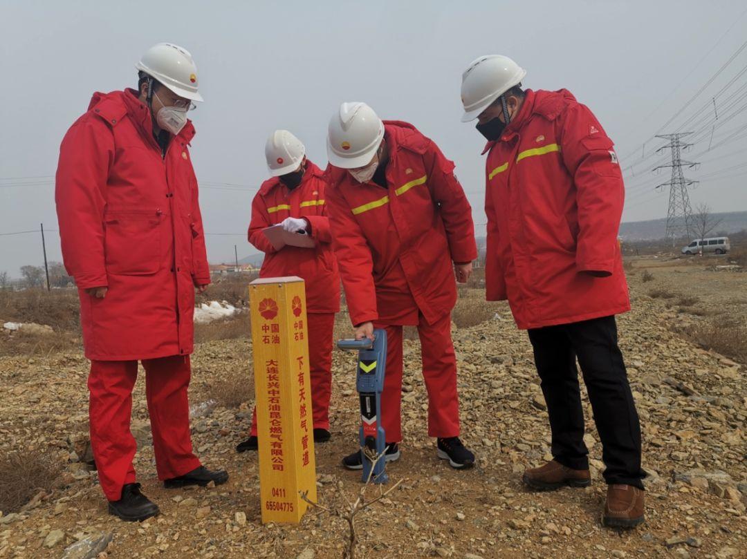 辽宁省防疫情况深度解析报告