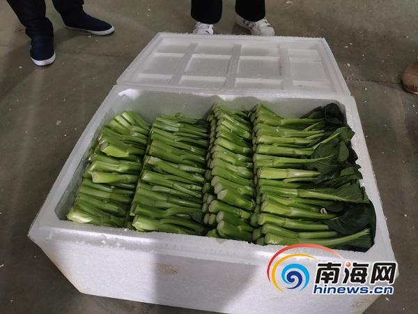 海口住建局疫情防控工作实录，筑牢防线，守护家园安全