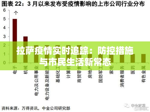拉萨疫情全面分析、应对策略及未来展望报告