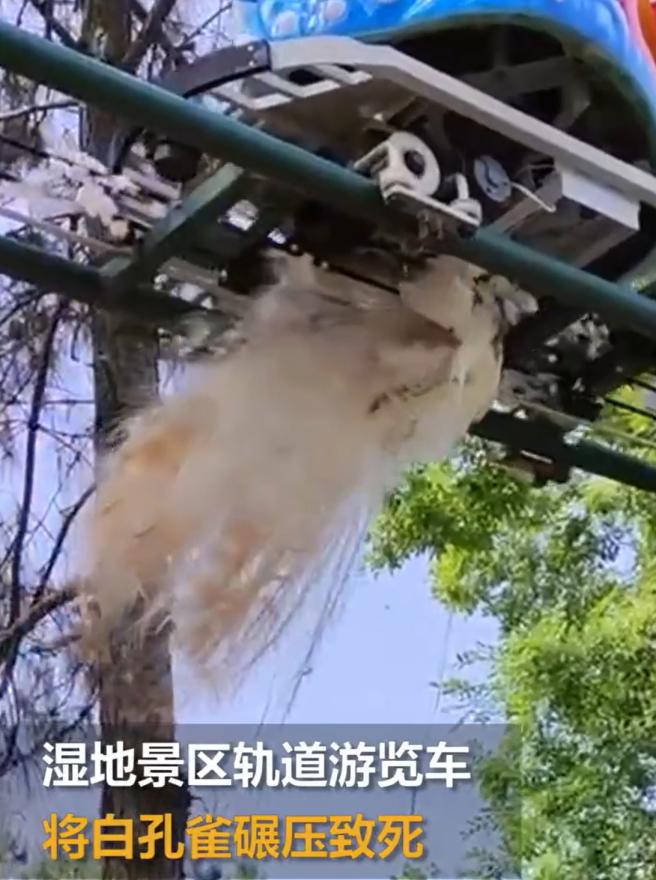 江西户口赴澳门限制详解，解读及应对之策
