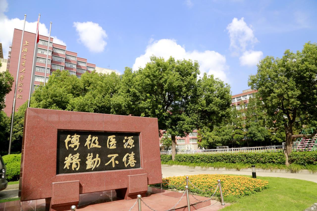 上海引领全球创新步伐加速前行最新动态