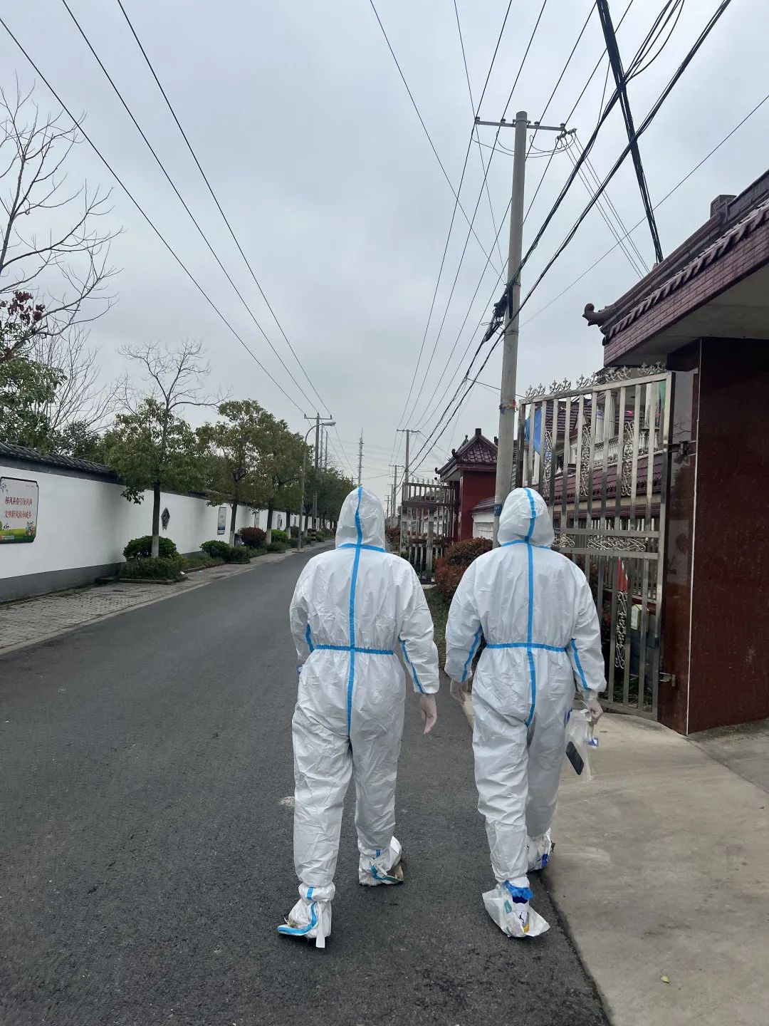 青浦抗疫之路，上海疫情下的坚守与希望之光