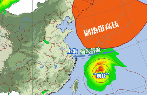 上海疫情台风下的城市挑战及应对策略
