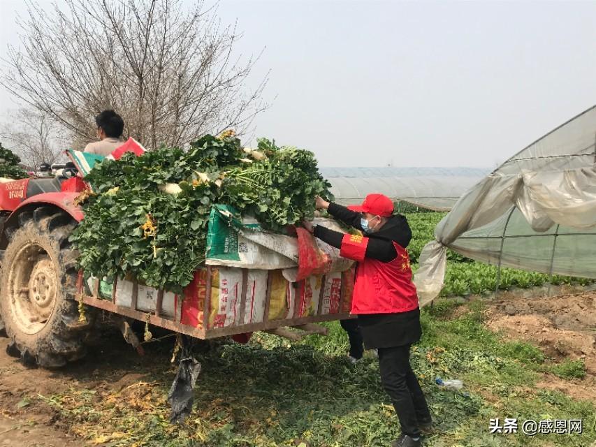 上海与哈尔滨携手抗疫，共克时艰