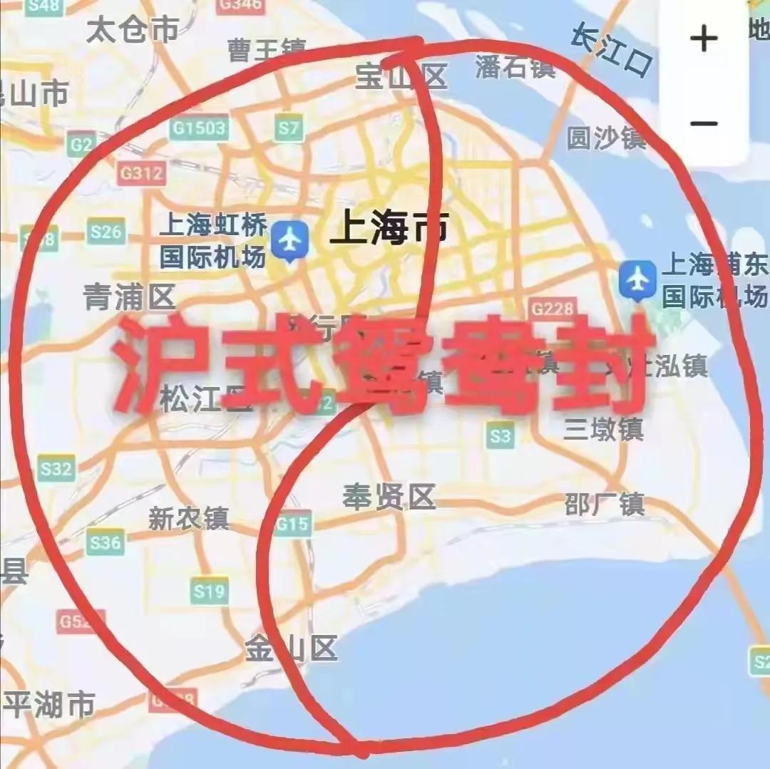上海疫情反弹，挑战与应对策略