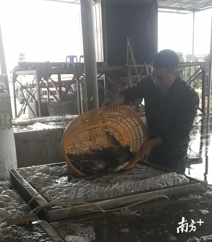 香港与上海的疫情挑战，共同应对，携手前行