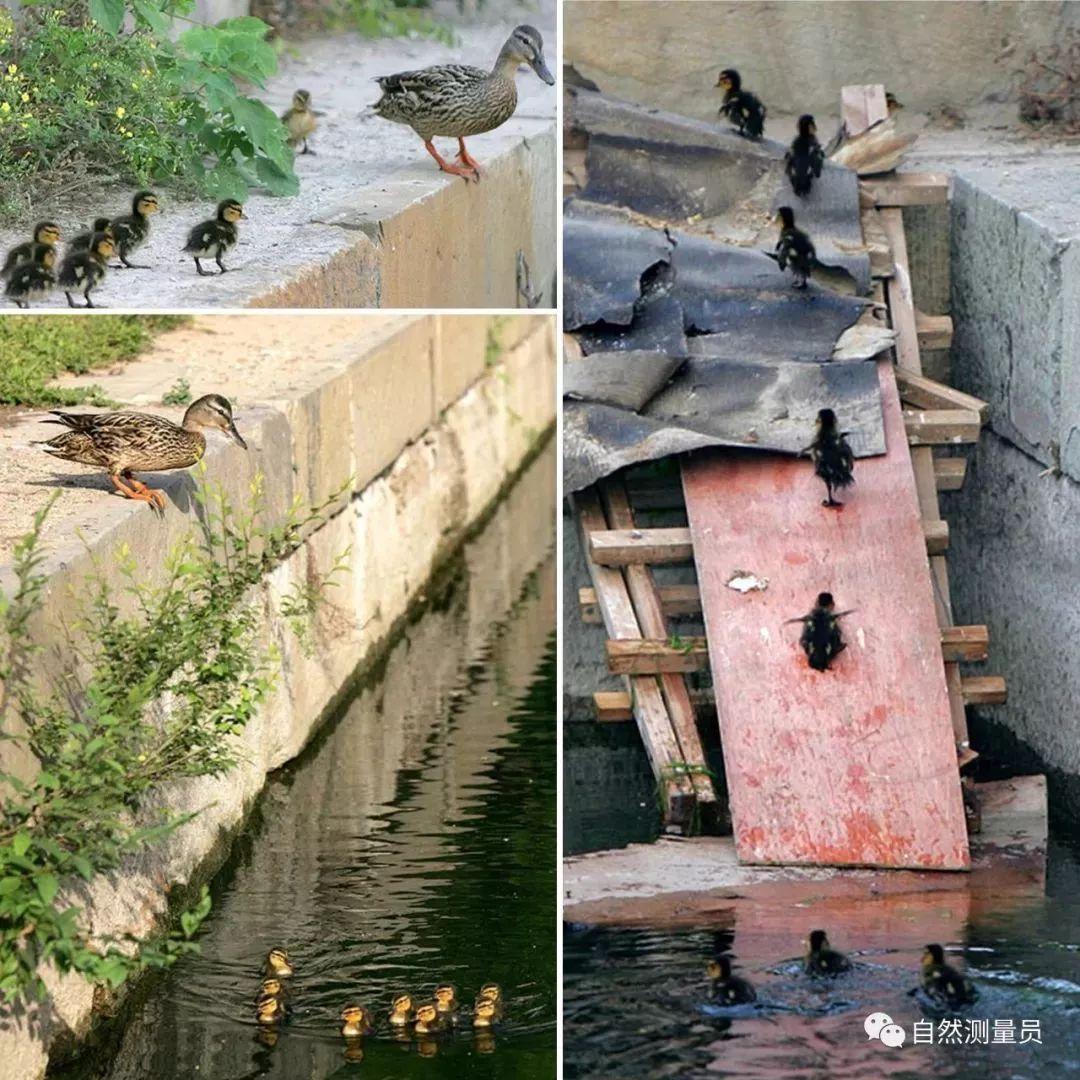 上海与广州，疫情挑战下的城市共同应对之路