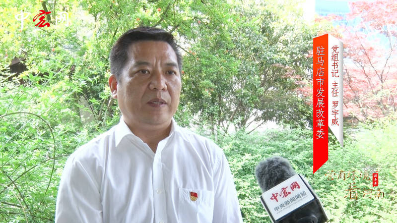 上海疫情挑战与应对，城市坚守的严峻形势分析