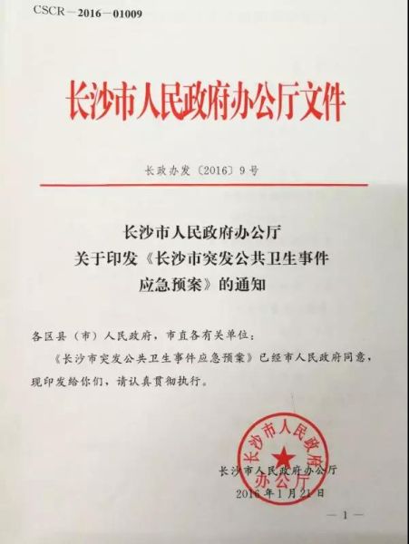 上海疫情防控观察与深度解析