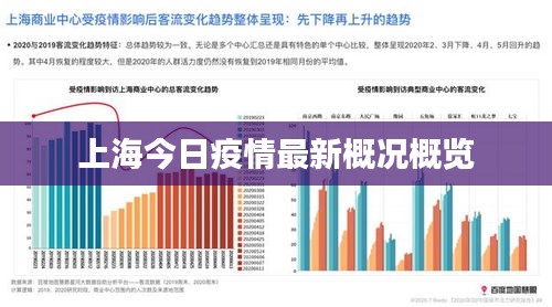 上海疫情全面解析报告