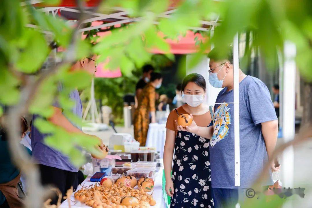 上海与哈尔滨疫情最新动态，城市防疫进展及应对策略