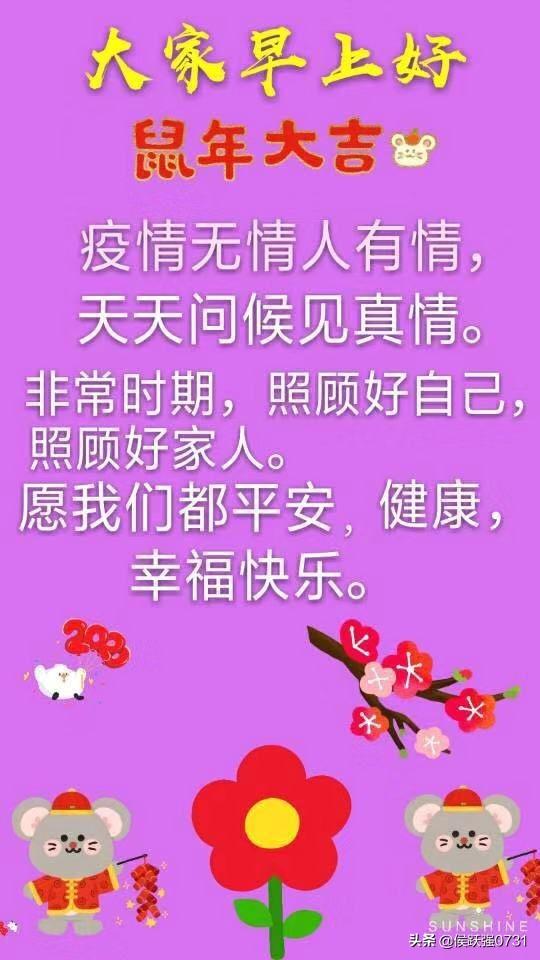 上海与武汉疫情应对与最新进展，城市疫情形势与应对策略