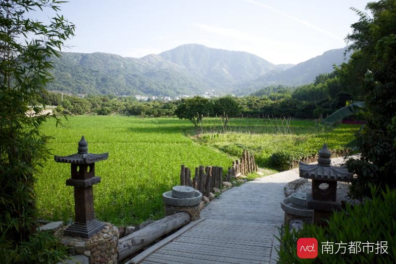 广州乡村游高峰，城市人与自然的和谐交融之旅
