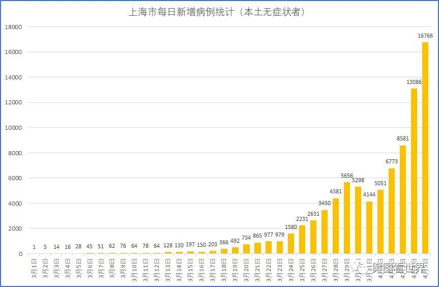 上海疫情最新数据报告，聚焦动态与进展（XX月XX日更新）