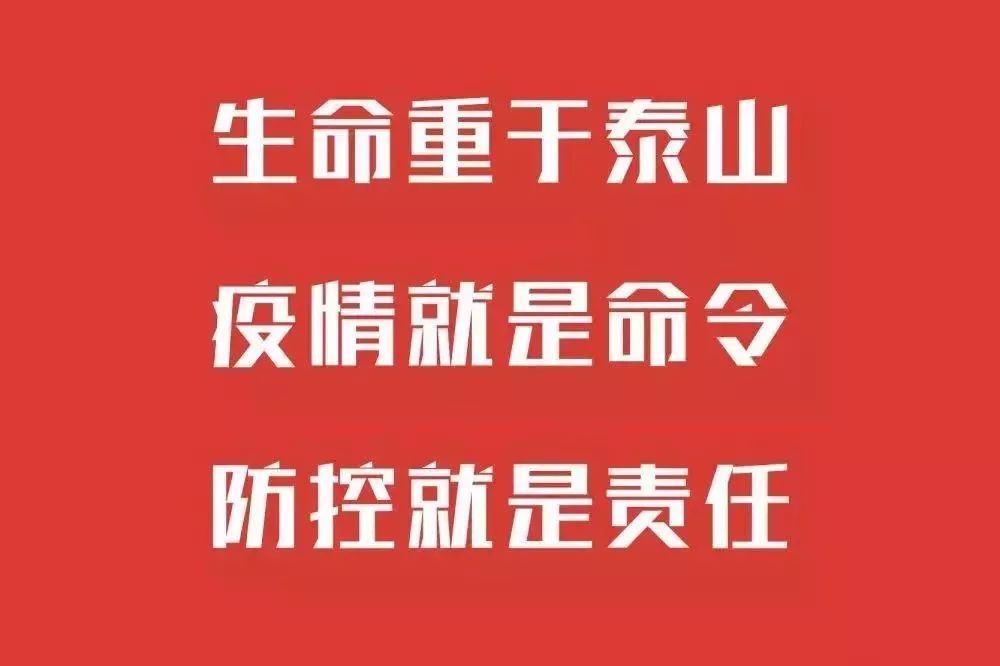 广东省疫情防控网站筑牢数字防线，全力守护健康广东