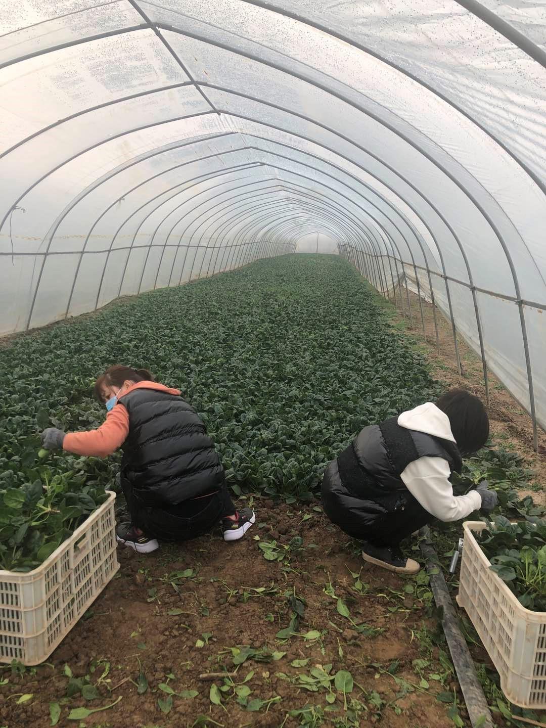 广东省与西安疫情防控最新动态
