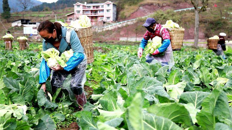 贵州省疫情乐观形势分析