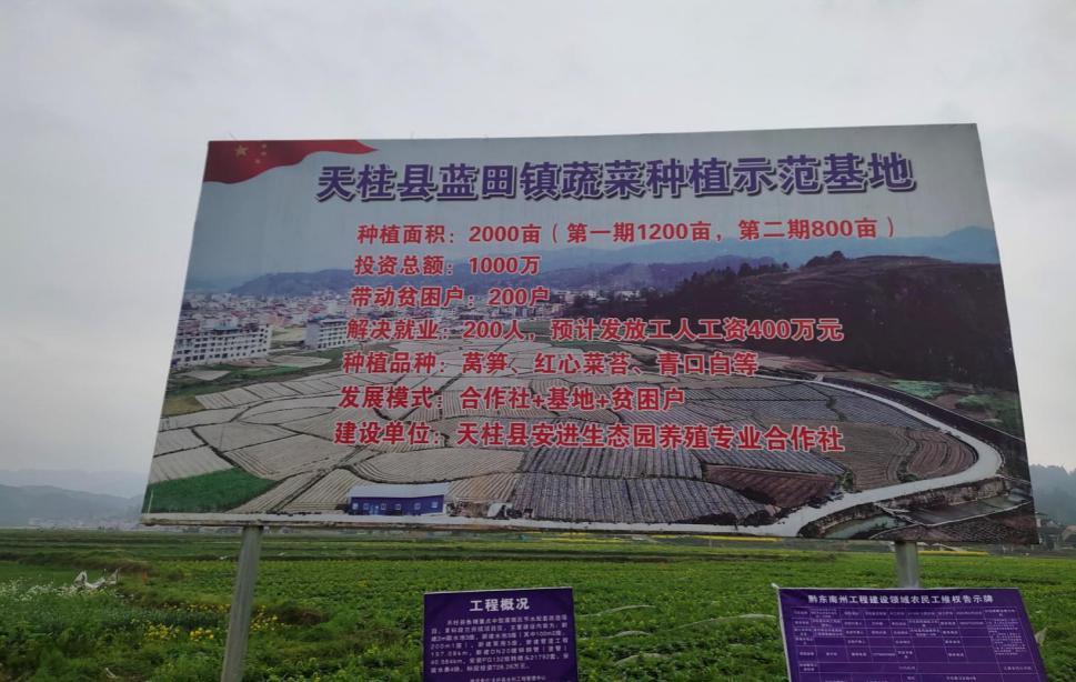 贵州积极回应广州防疫政策，展现坚定支持