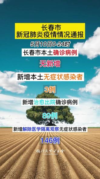 贵州省与长春市疫情最新消息通报，最新动态与进展