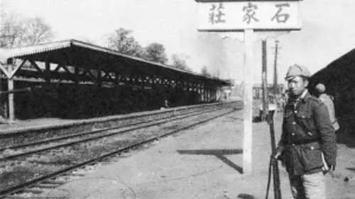 石家庄与长春，疫情下的城市记忆与成长之路