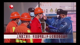 石家庄与长春，疫情下的城市记忆与成长之路