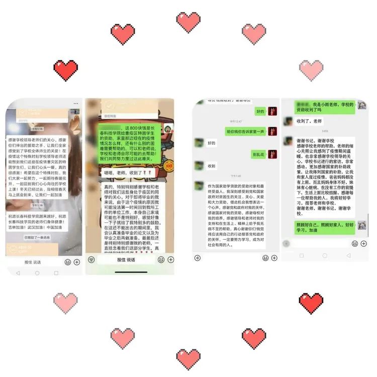 河北与吉林疫情最新动态分析，通知公告与最新动态对比解读
