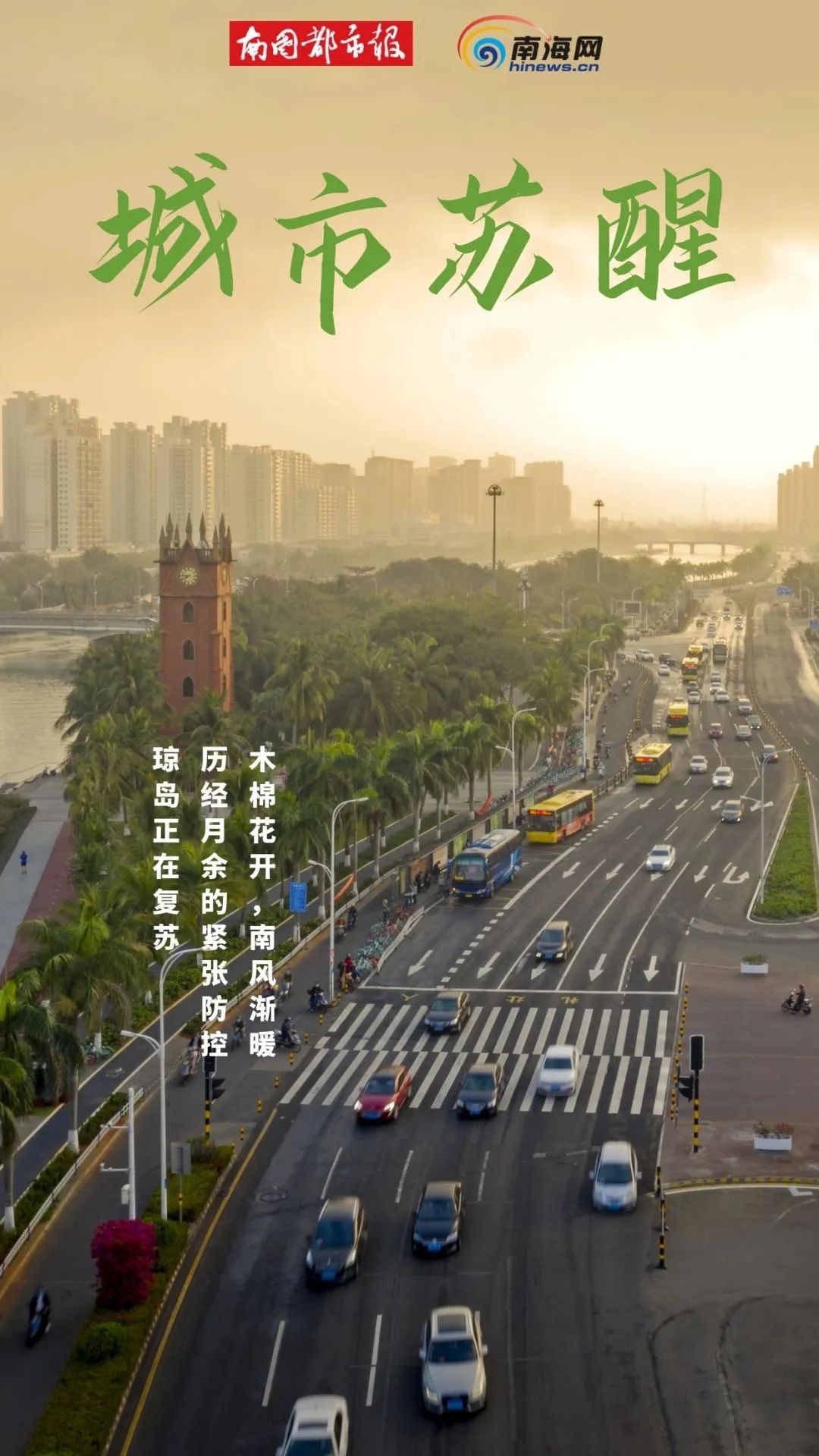海口市疫情解封，城市繁荣与希望重启