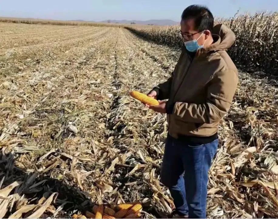 黑龙江省疫情最新通知与重庆防控动态，双城抗疫纪实