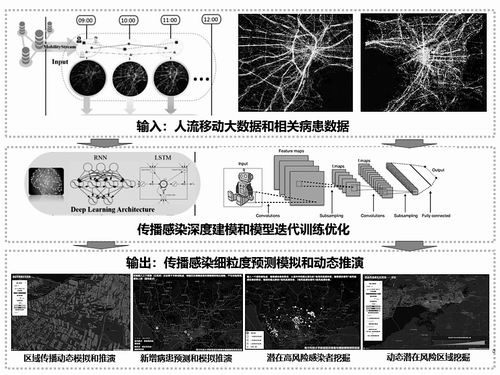 黑龙江省疫情最新动态，防控措施、数据解读与未来展望
